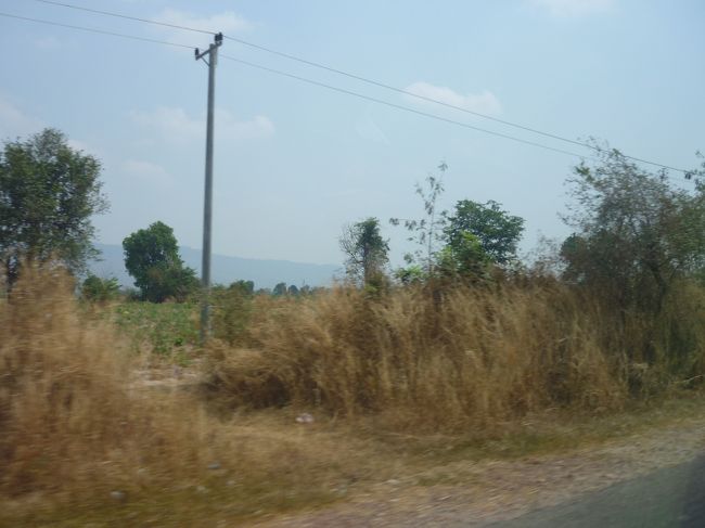 続いて近年まで密林に埋もれていたというベンメリア遺跡へ向かう。