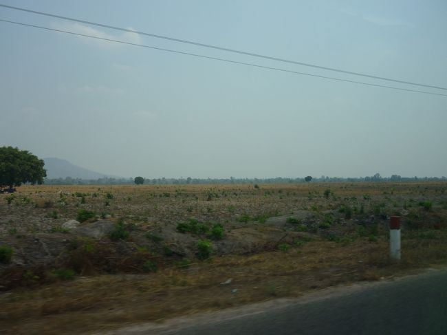 雨期の終わった11月ごろは、一面緑で美しいということだ。