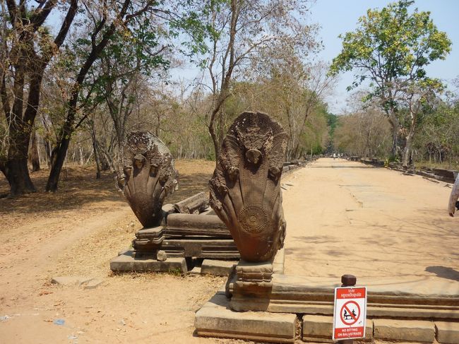 コブラがお出迎え。