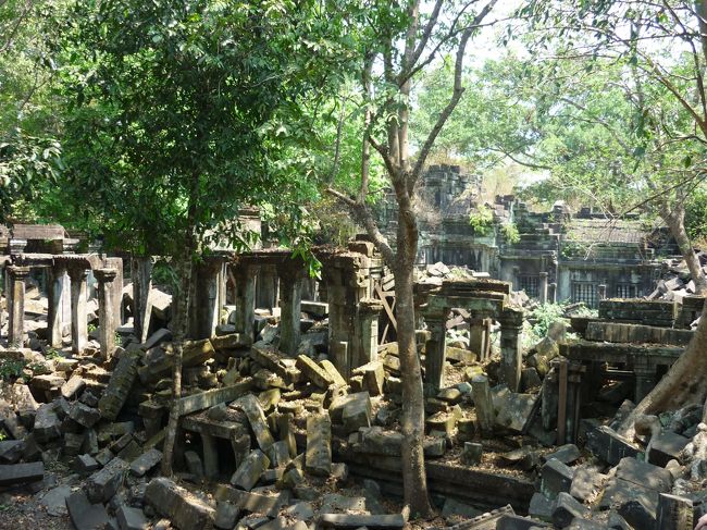 この廃墟は、このままでいいのでは。