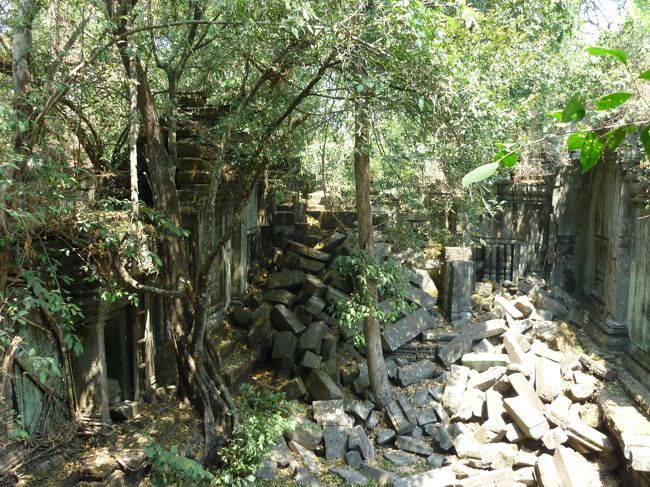 きっと石の落ちる音が、毎日していたはずだ。