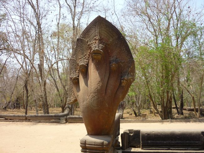 コブラのお見送り。<br />これも本物だ。1000年もここに立っているのだろうか。