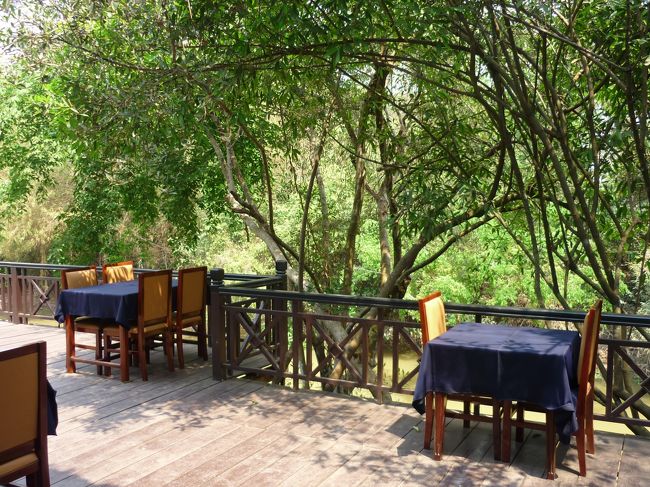 暑いので外は無理。