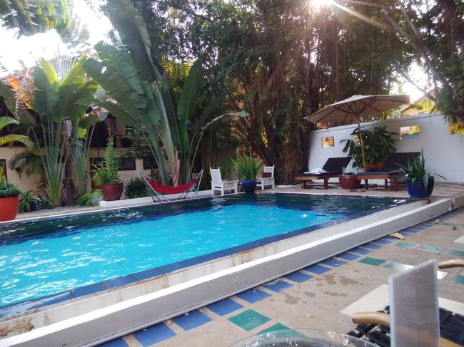 観光の帰りにカンボジアマッサージ１時間がついていた。<br />あちこち引っ張られて痛くなる。<br />やや早めにホテルに戻れてラッキー。時間ができた。<br />汗びっしょり。<br />しばしプールでのんびり。初プール。<br />シャワーを浴びてすっきりして夕食へ。<br />