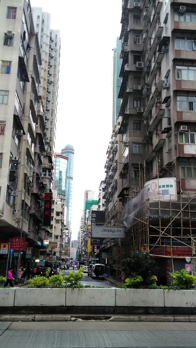 食後は辺りを散策