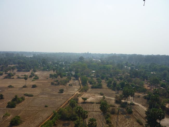 網目のすき間から写真を撮る。