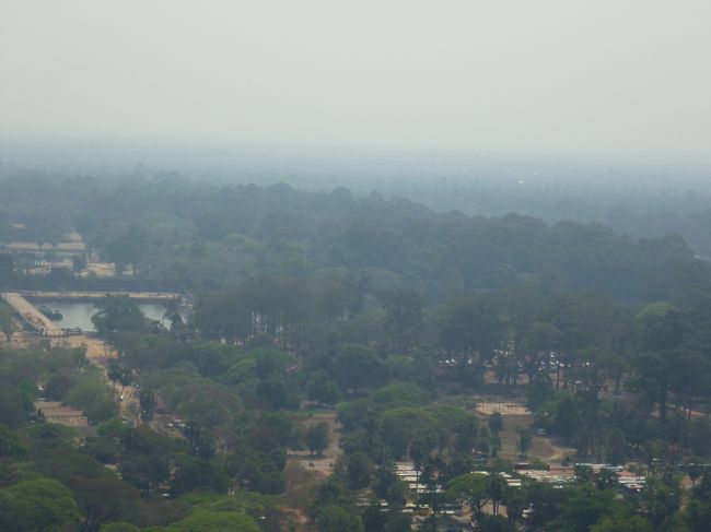 周囲の状態がわかる。