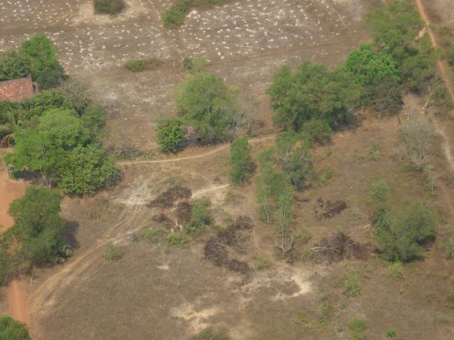 乾季なので緑が少ない。