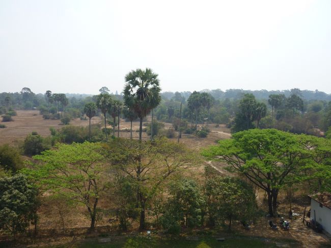 もうすぐ生還。