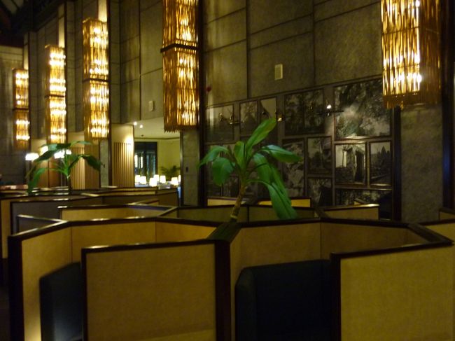 年会費１万で各地のラウンジを利用できるので大変費用対効果がいい。<br />特に東南アジアなどエコノミークラスで旅行するときには、ビジネスクラス並みのラウンジサービスを受けられるのがいい。