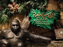 Rainforest Cafe
アメリカでは有名なレストランですね。ゴリラがお出迎えでした。