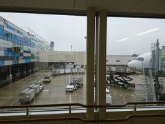 大阪伊丹空港に到着しました。