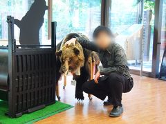 2日目。先ずは朝の散策でフレペの滝へ。
遊歩道入口にある「知床自然センター」に入りました。
知床の自然や、特にヒグマに関する展示や資料が充実していました。
お土産も、「知床の自然を守ろう」のテーマで作られていて、文具や雑貨が充実していました。

ヒグマの皮は、ずっしりと重量感がありました。
皮だけでも獣の実感がありました。