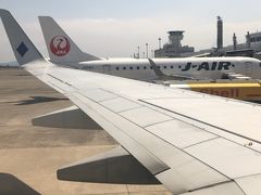 着いたよー。鹿児島空港。