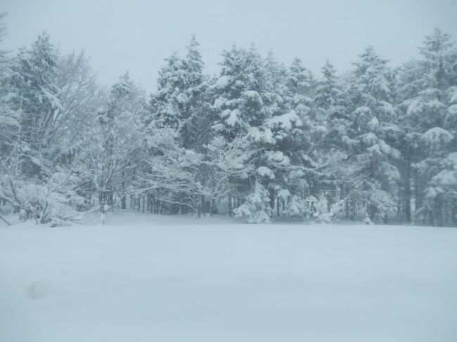 車窓を楽しんでいたら…