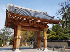 連日（週末の土日も含めて）会議なので、朝早く、少しだけ観光をする。博多駅のすぐそばに、お寺さんや神社の集まったエリアがある。寺社めぐりのスタートは【博多千年門】。
