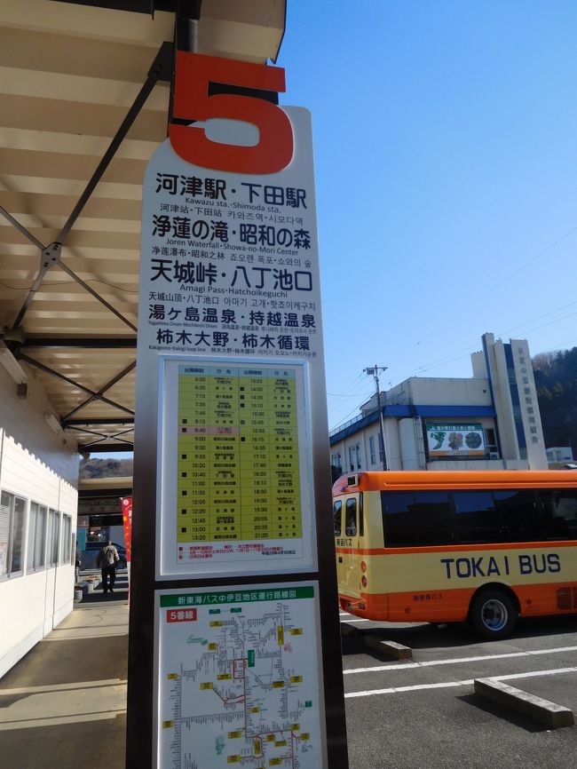 ここで東海バス全線フリー切符を購入。いよいよ路線バスの旅がスタートです。いきなり下田まで移動します。<br /><br />ちなみにこの路線、途中に天城越えや河津七滝があります。河津まではそれなりに路線があるのですが、河津～下田間は1日数本しかありません。<br /><br />途中下車したいスポットもありましたが、下田での観光を優先して泣く泣くスルー。