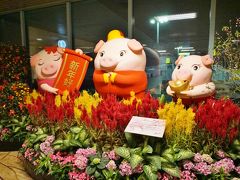 日付は変わって2019年2月22日。
定刻通りシンガポールに到着しました。

春節の名残か豚さんがお出迎え。