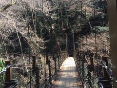 目的は吊り橋！