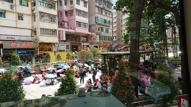 雨が上がり、雨傘がそのまま日傘ですね