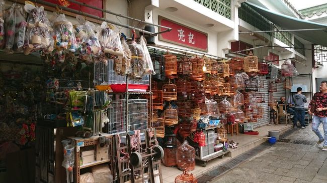 日本ではあまり見かけないような、ステキな鳥籠がいっぱい。