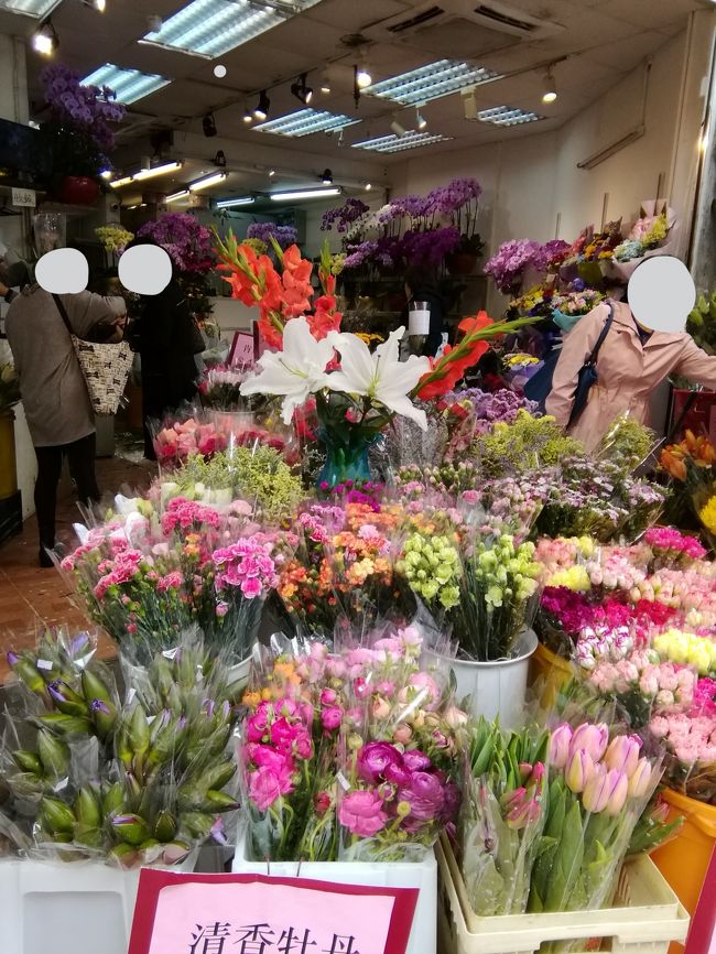 バードガーデン目指していくと、沢山のお花屋さんがありました。