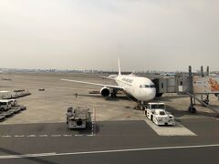 機材は767、しかも新しい方で国際線で活躍していたものが国内線用に改修されたものです。