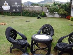 【ブラジルのスペシャルティコーヒーの里：カルモ・デ・ミナス】

その前には、タイヤで作られたテーブルとチェア......