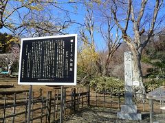 小仏関跡
ここにも梅の木があります
