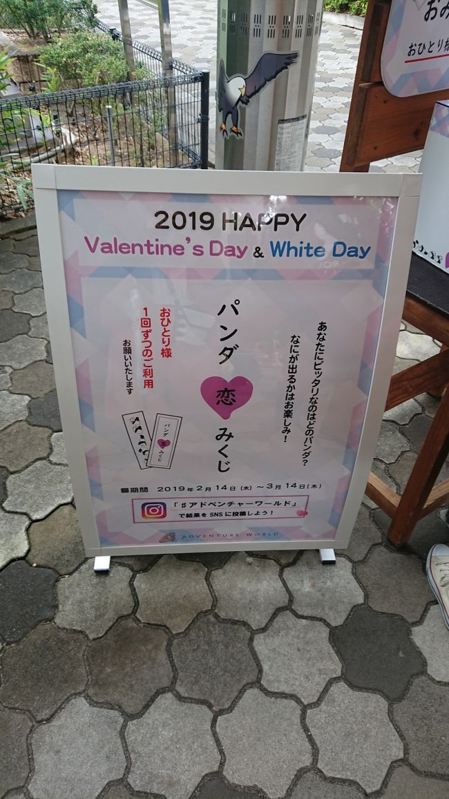 犬連れ家族旅 パンダに再会和歌山１泊２日の旅 南紀白浜 和歌山県 の旅行記 ブログ By みにりくさん フォートラベル