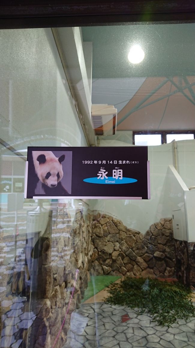 犬連れ家族旅 パンダに再会和歌山１泊２日の旅 南紀白浜 和歌山県 の旅行記 ブログ By みにりくさん フォートラベル