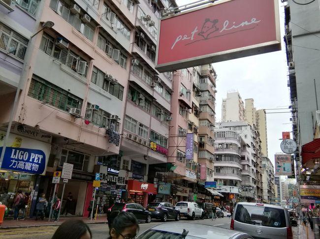 ペットショップがたくさんな通りを過ぎ、、、