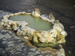 翌朝、旅館から浴衣で訪れた長湯温泉 ガニ湯
芹川の河川敷にある蟹の甲羅のような形をした２４時間利用可の露天風呂
芹川の川原にある石組の露天風呂。無料・混浴。脱衣所は無く、浴槽も周辺の道路や旅館から見える。夜はせせらぎを聞きながら星見の露天が楽しめる。湯色は黄白濁で、湯温はぬるめ。パイプでの引き湯なので、炭酸は抜けている。
