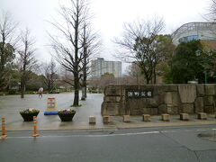 途中、浜町公園に寄ってみました。
ここの桜は綺麗です。