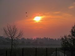 庭園よりも、むしろお目当ては夕暮れ時。