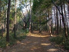 日和田山の一の鳥居
石の風格有る鳥居です。