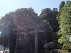 高千穂神社

木々が高く、なんだか神秘的な雰囲気です。