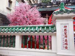 香港最古の道教寺院・文武廟。
マックスウエル・ロードを少し上環方面に下った所です。