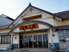 下船してすぐ近くの｢道の駅 知床らうす｣にてお買い物タイム。
お土産に新鮮で分厚いホッケと塩水ウニお買上げ～！
屋根に乗っているカモメが偽物と思ってたら本物でビックリした。