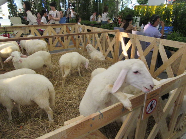 FARMER MARKET....お子様が喜んでいました。<br />