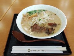 鹿児島到着です。
せっかくの鹿児島なので、ターミナル内のレストランで、鹿児島ラーメンをいただきます。
ソーキの軟骨が柔らかくておいしかったです。