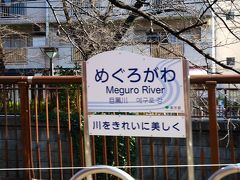 目黒川を右手にてくてくと北上？