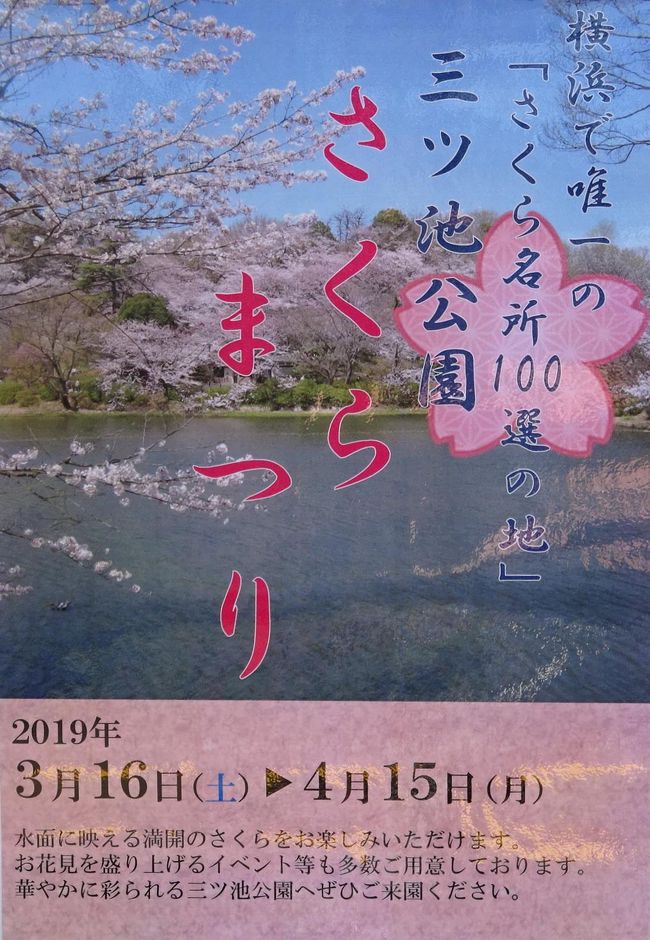 三ツ池公園 早咲きの桜など 横浜 神奈川県 の旅行記 ブログ By Takeおじさん フォートラベル