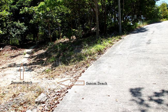 ☆Temple Street ,  @ Koh Lipe Thai<br /><br />Pitiusas Beach Resortのレストラン脇を登っていくと再びTemple Streetに出ます。<br />この舗装道路はその先も西端近くまで続いていますが<br />何もないし見るべきような景色もないので行くだけ無駄です(^^;)。<br />Pitiusas入口からTemple Streetに右折し２０ｍくらい進むと<br />Pattaya Beach側にあるSanom Beachに行くことができます。