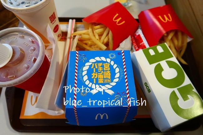 お昼の時間をだいぶ過ぎてしまったので、マクドナルドで食事。ジャクリーンは安定のグリルチキンバーガー。私は宮崎チキン南蛮バーガー。この間食べた名古屋味噌カツバーガーのほうがおいしかったです。<br /><br />このあとD Parkで娘を遊ばせてから、いったん家に戻りました。そのあとまたおでかけ。