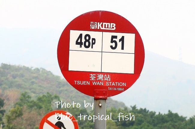 荃灣駅からバスで出発。51番のバスです。平日は1時間に1本しかないバスです。
