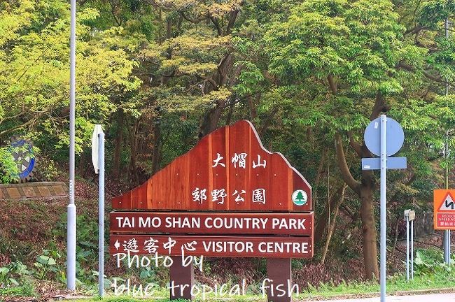 郊野公園で下車。<br /><br />やってきたのは大帽山。