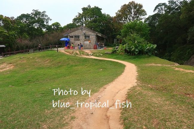 売店に続く道。