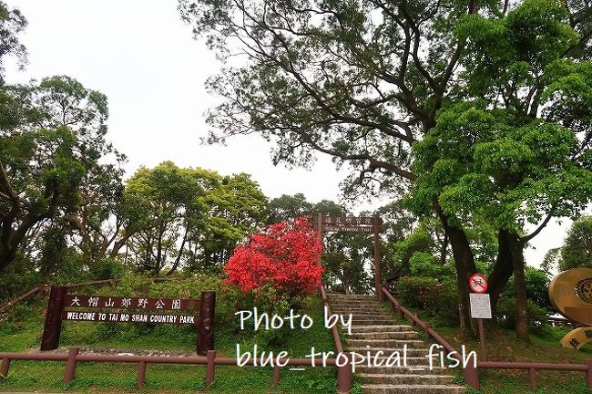 さて、ちょっとお散歩でもして帰りますか…<br /><br />○　大帽山郊野公園