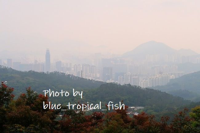 眺め、お天気が良ければいいんでしょうけれど、この日は残念…大気汚染なのか霧なのか、もやっていました。